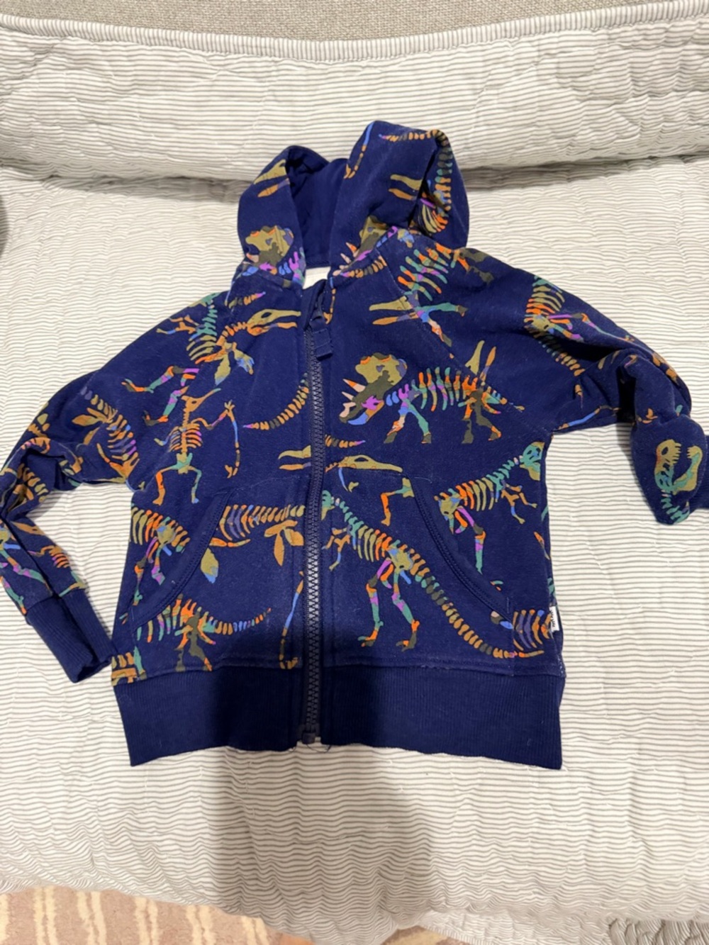Little Sleepies Navy Hoodie with Multicolor Dinosaur Skeletons